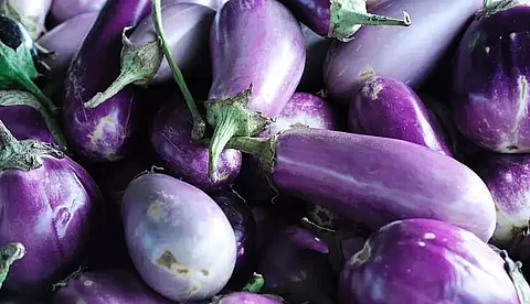 Journey of lablab bean and brinjal from Kharupetia to London