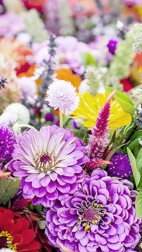 Most Expensive Flowers in the World