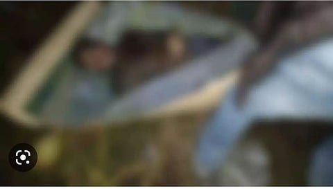 Assam: Elephant Attack On Picnickers, 1 Dead