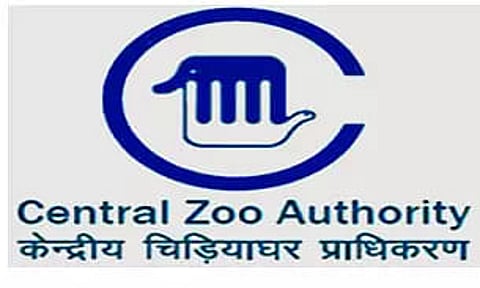 Central Zoo Authority Recruitment 2022 - Policy Assistant Vacancy, Job Opening