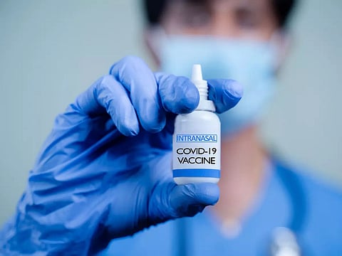 COVID Panel Chief NK Arora: Nasal Vaccine Cannot Be Taken After Booster Shot