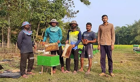 Apiculture proves a profitable business for these four youths in Bajali