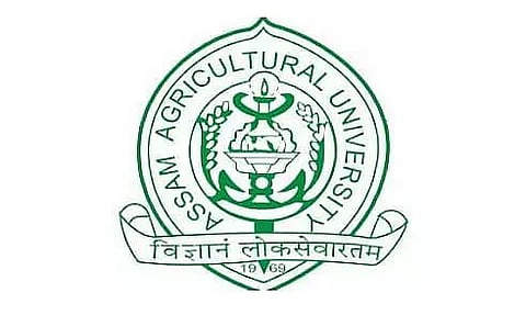 Assam Agricultural University Recruitment 2023 - Young Professional I Vacancy, Job Opening