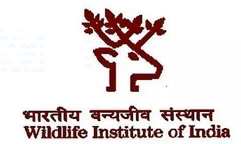 WII Recruitment 2023 - Project Associate II Vacancy, Job Opening