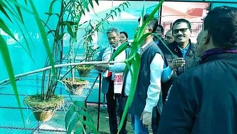 Orchid conservation centre opened in Doomdooma