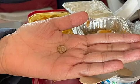 Flyer Finds 'Stone' in her Meal Onboard Air India Flight