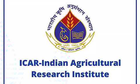 IARI Recruitment 2023 - Young Professional-I Vacancy, Job Opening