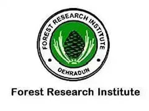 FRI Recruitment 2023 - Forest Guard, MTS, Technician Vacancy, Job Opening