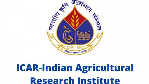 Indian Agricultural Research Institute Recruitment 2023 - Research Associate Vacancy, Job Openings
