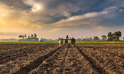 Developed world to help small farmers in developing nations: India
