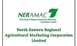 NERAMAC Limited Recruitment 2023 - Assistant Manager Vacancy, Job Opening