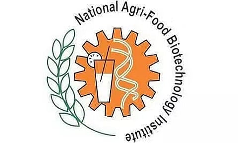 NABI Recruitment 2023 - Senior Technical Assistant Vacancy, Job Opening