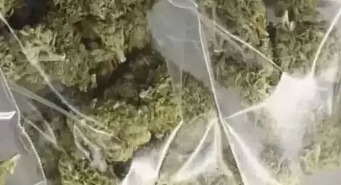 GRP seizes 40 kg of ganja from Dibrugarh-Kanyakumari Vivek Express
