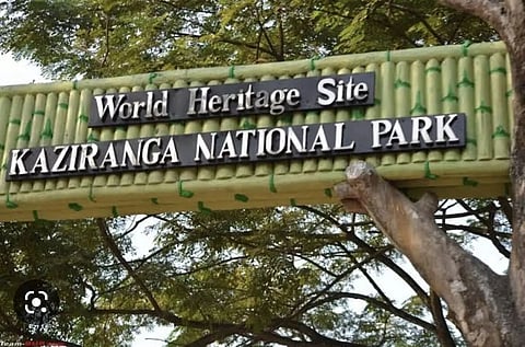 Assam: Kaziranga National Park To Remain Open On 4th Feb'23