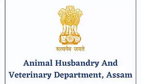 AHVD Invites Tender for Construction of Administrative Office Building - 2023_AHVD_29017_1