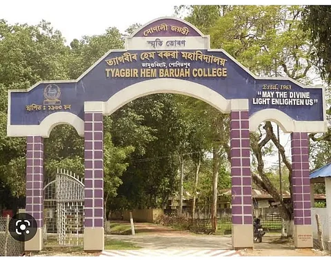 Assam: College Allows Students To Engage In Tea Garden During Free Period To Become Self Reliant
