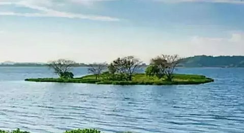 Wetlands of Assam and its threat