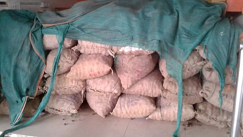 Government Railway Police seized Burmese supari at Guwahati railway station