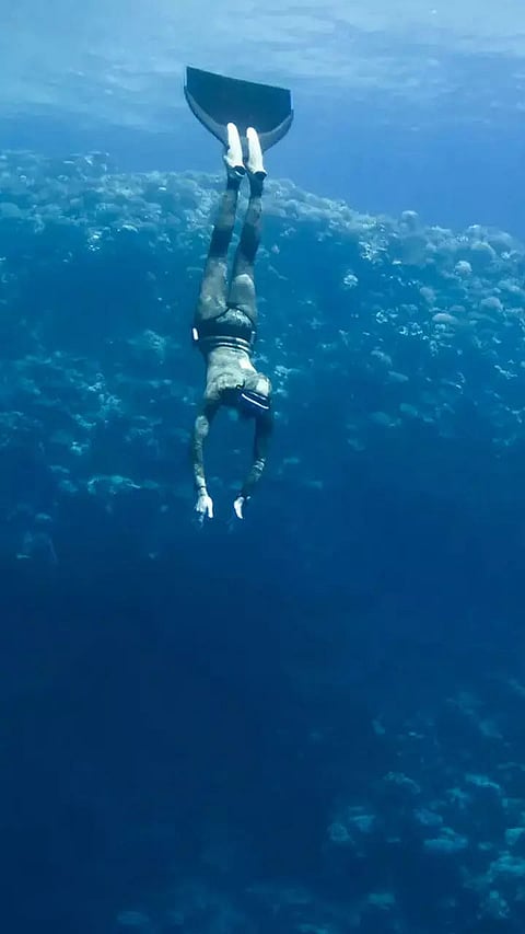 Diving Spots that are as beautiful as they are deadly