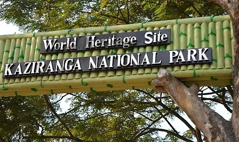 Tourists injured at Kaziranga National Park