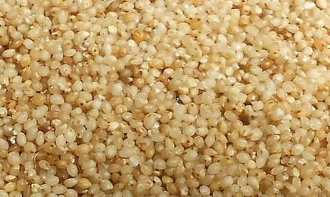 Millet cultivation in flood-affected area inaugurated Baksa district