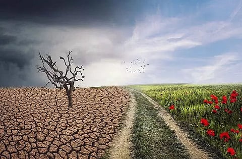 Workshop on Climate Change held by Voice of Environment in Guwahati