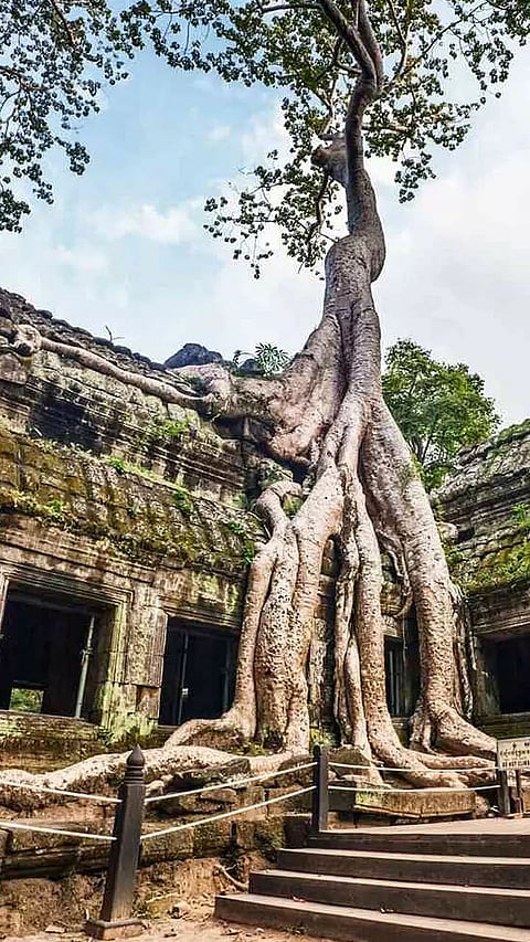 Lost Civilizations that Vanished without a Trace