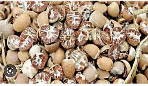 Mizoram: Areca Nuts Worth Rs 3 Lakhs Seized