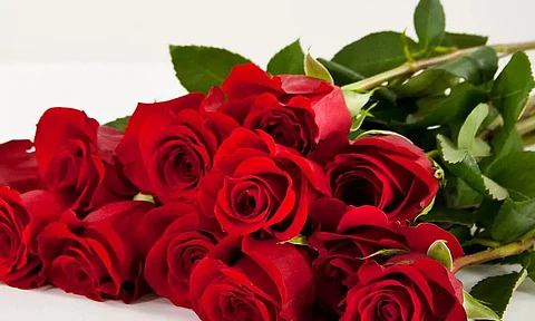 Valentine’s Day: When Love is being Stupid Together