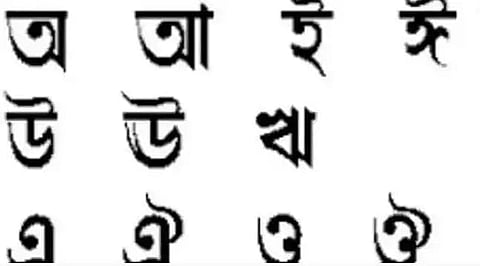 Let’s safeguard our linguistic diversity