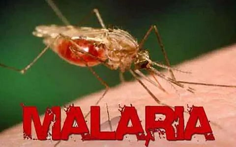 What malaria costs India