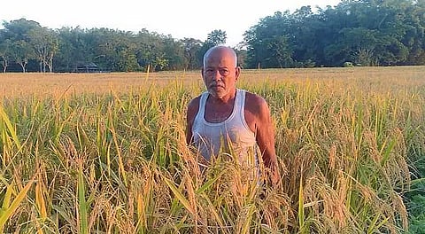 Bajali farmer to be felicitated by Indian Agricultural Research Institute