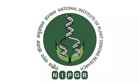 National Institute of Plant Genome research (NIPGR) Recruitment 2023 - Research Associate III Vacancy, Job Openings