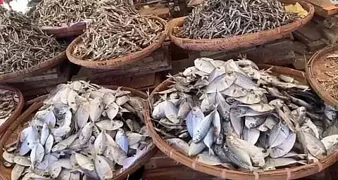 dry fish market