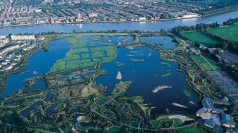 Growing Importance of Wetlands in Urban Water Management