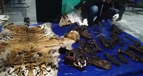 India, Bhutan for coordinated efforts against wildlife crime