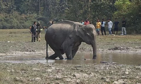 Fund flow for human-wildlife conflict management
