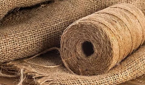 Eyeing a larger market for Assam jute