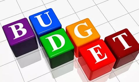 State budget and health sector