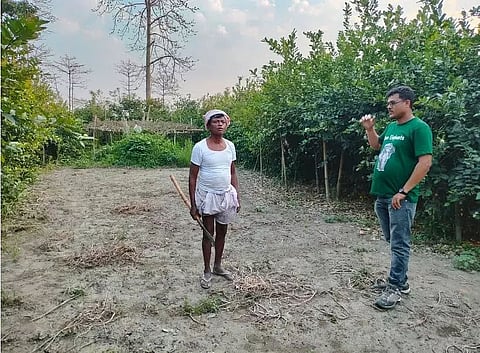 Farmers reap benefits from lemon fence pilot project in Assam