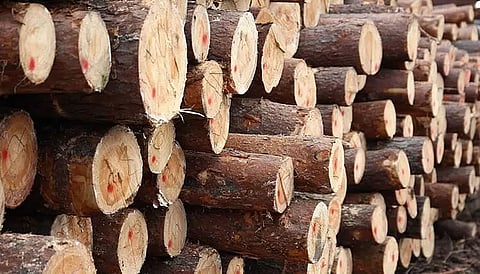 Jorabat police seize truck of smuggled wood
