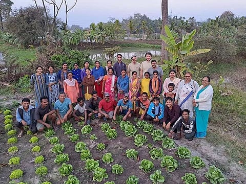 Assam: 140 Varieties of Tomatoes, 80 Varieties of Chilies Cultivated in Pabhoi
