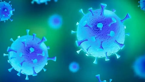 India logs 1,805 new COVID cases in the last 24 hours