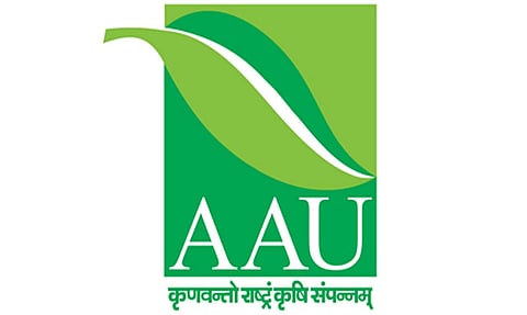 AAU Recruitment 2023- Senior Research Fellow Vacancy, Job Opening