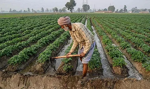Additional Chief Secretary Dr. Ashish Kumar Bhutani visits Majia FPC fields in Sonitpur district