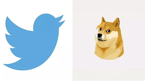 Twitter CEO Elon Musk changes Twitter’s blue bird logo with ‘Doge’ meme