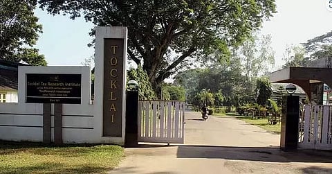 Tea Estates owe Tocklai Tea Research Institute Rs 11 crore