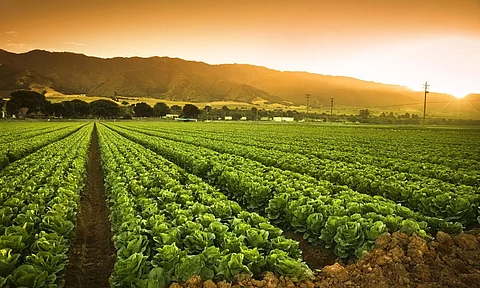 Agriculture department intensifies drive against pesticides in Sivasagar