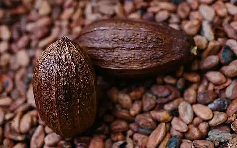 One-day seminar conducted on Cocoa production in Dimoria