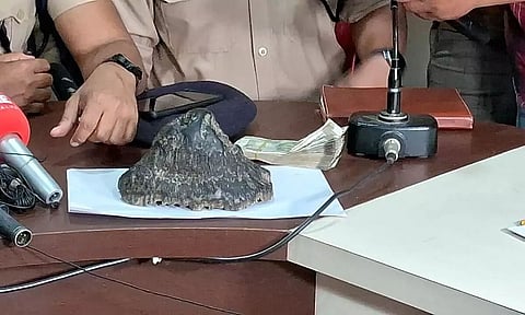 Assam: Rhino horn recovered in Nagaon